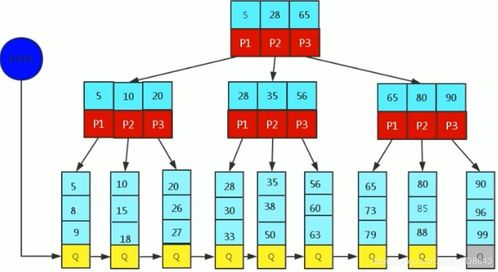 數據庫高級特性 索引、視圖、存儲函數及數據處理服務